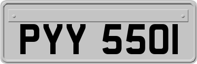 PYY5501