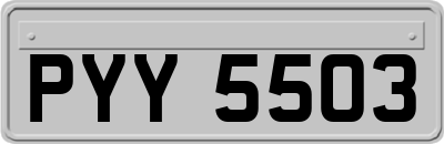 PYY5503