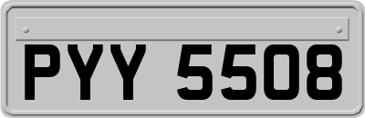 PYY5508