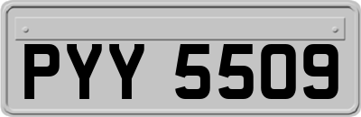 PYY5509