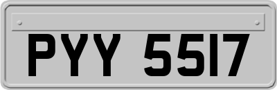 PYY5517