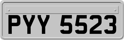 PYY5523
