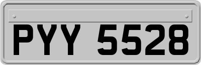 PYY5528