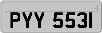 PYY5531