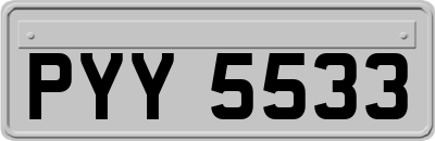 PYY5533