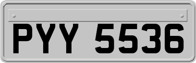 PYY5536