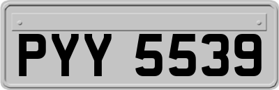 PYY5539