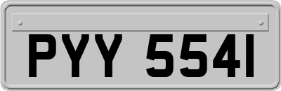 PYY5541