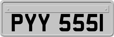 PYY5551