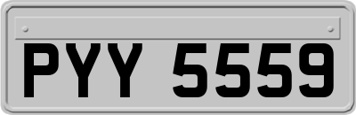PYY5559