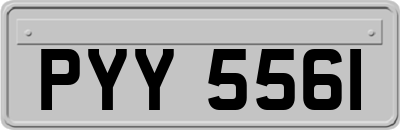 PYY5561