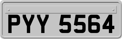 PYY5564