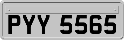 PYY5565