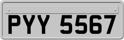 PYY5567