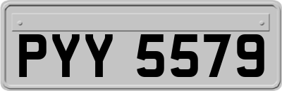 PYY5579