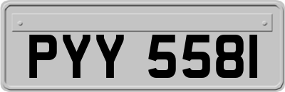 PYY5581