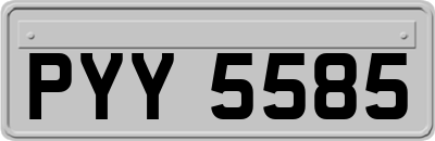 PYY5585