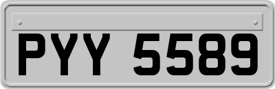PYY5589