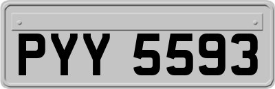 PYY5593