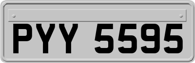PYY5595