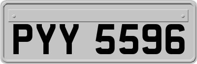 PYY5596