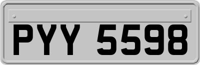 PYY5598
