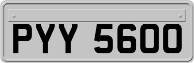 PYY5600