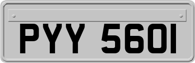 PYY5601