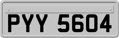 PYY5604