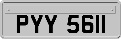 PYY5611