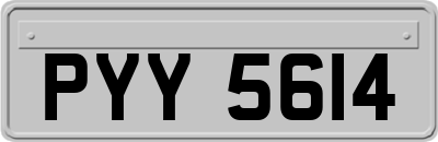 PYY5614
