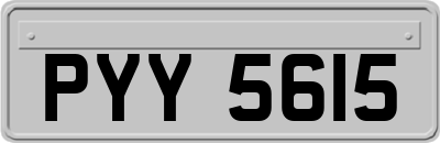 PYY5615