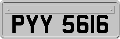 PYY5616