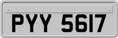 PYY5617