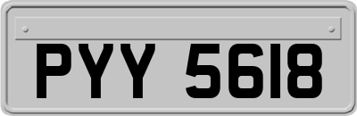 PYY5618