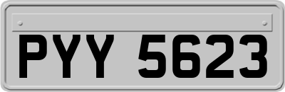 PYY5623