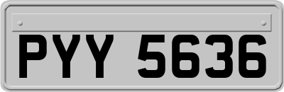 PYY5636