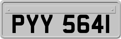 PYY5641