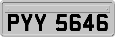 PYY5646