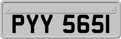 PYY5651