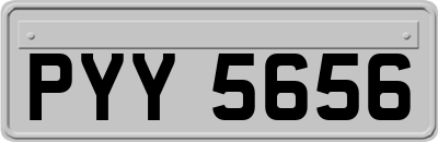PYY5656