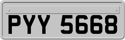 PYY5668