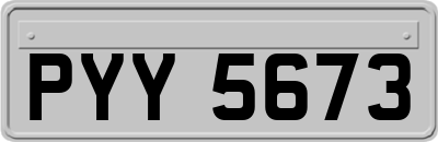PYY5673