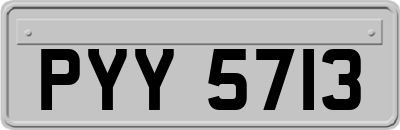 PYY5713