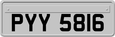 PYY5816