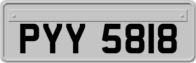 PYY5818