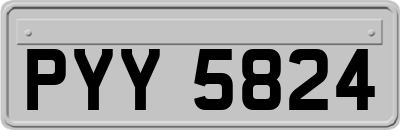 PYY5824