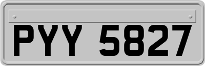 PYY5827