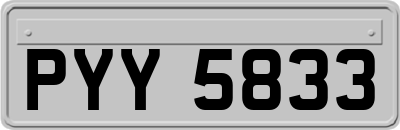 PYY5833