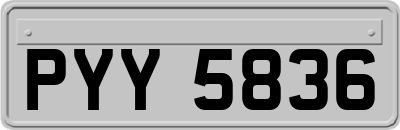 PYY5836